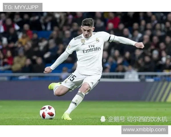 皇家马德里迎来伤病挑战，巴尔韦德、库尔图瓦右腿伤势频发，球队未来走向引发热议